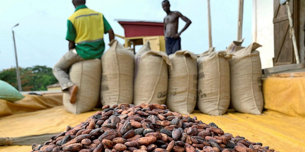 Govt To Announce New Cocoa Price On September 11